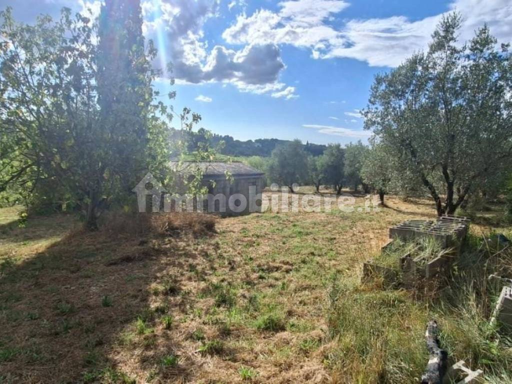 Terreno