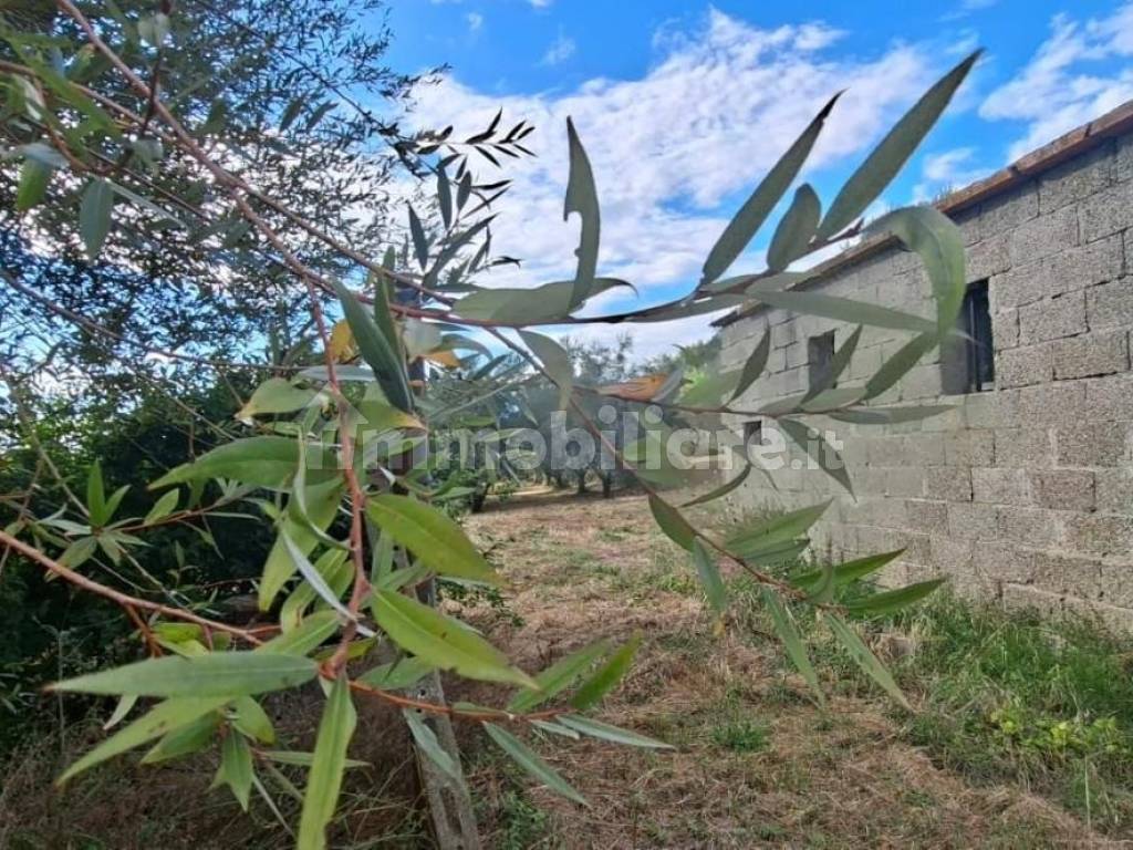 Terreno
