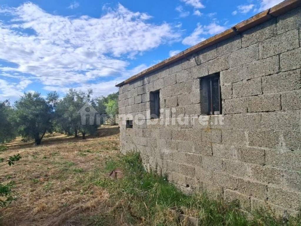 Terreno