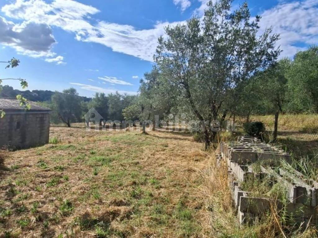 Terreno