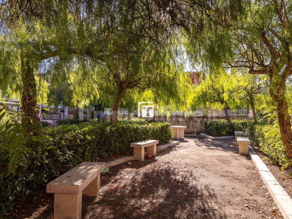 Giardino