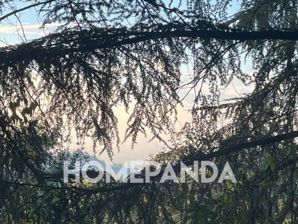 Vista