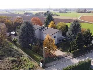 Vista