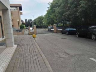 Zona