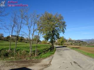 Zona