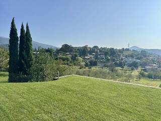 Vista