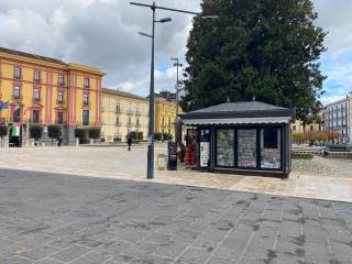 Zona