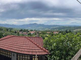 Vista