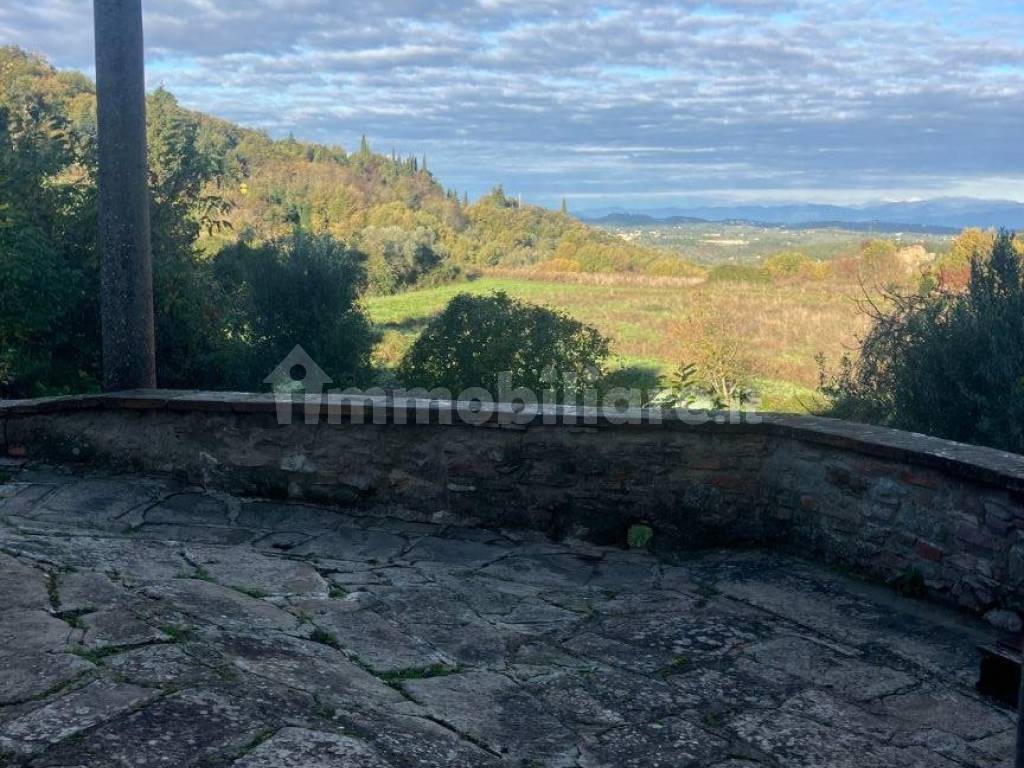 Vista