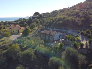 Vista