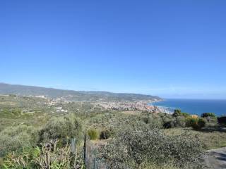 Vista