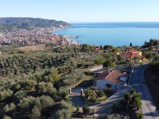 Vista