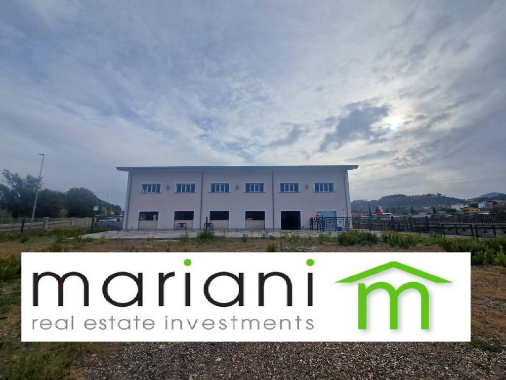 Palazzo - Edificio viale Oxford, Torre Angela, Roma