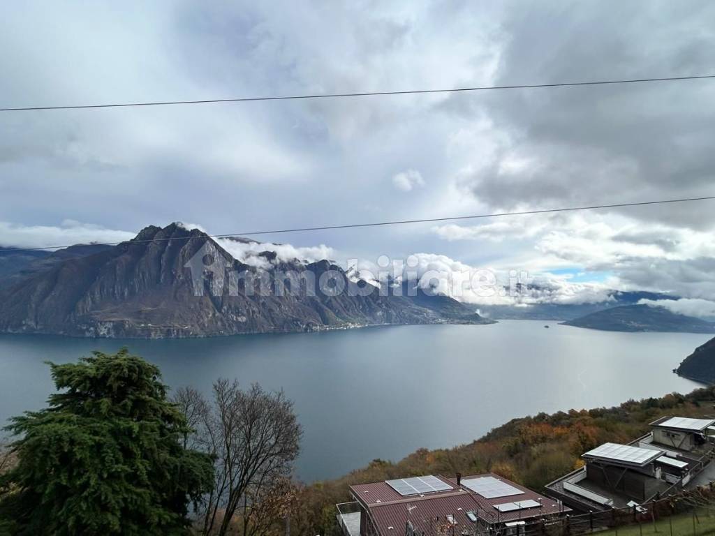 Vista