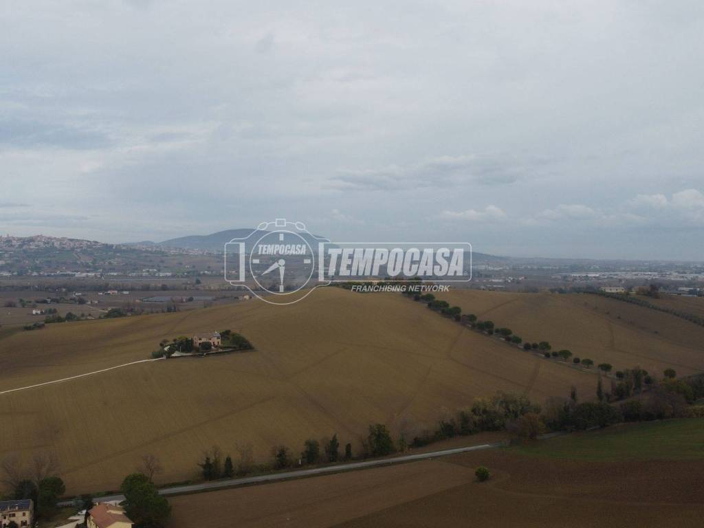 Vista