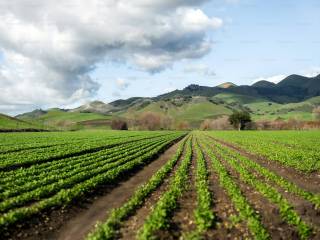 Terreno