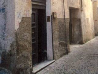 Zona