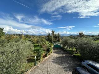 Vista