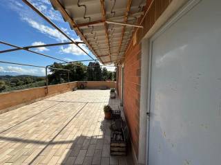 Terrazzo