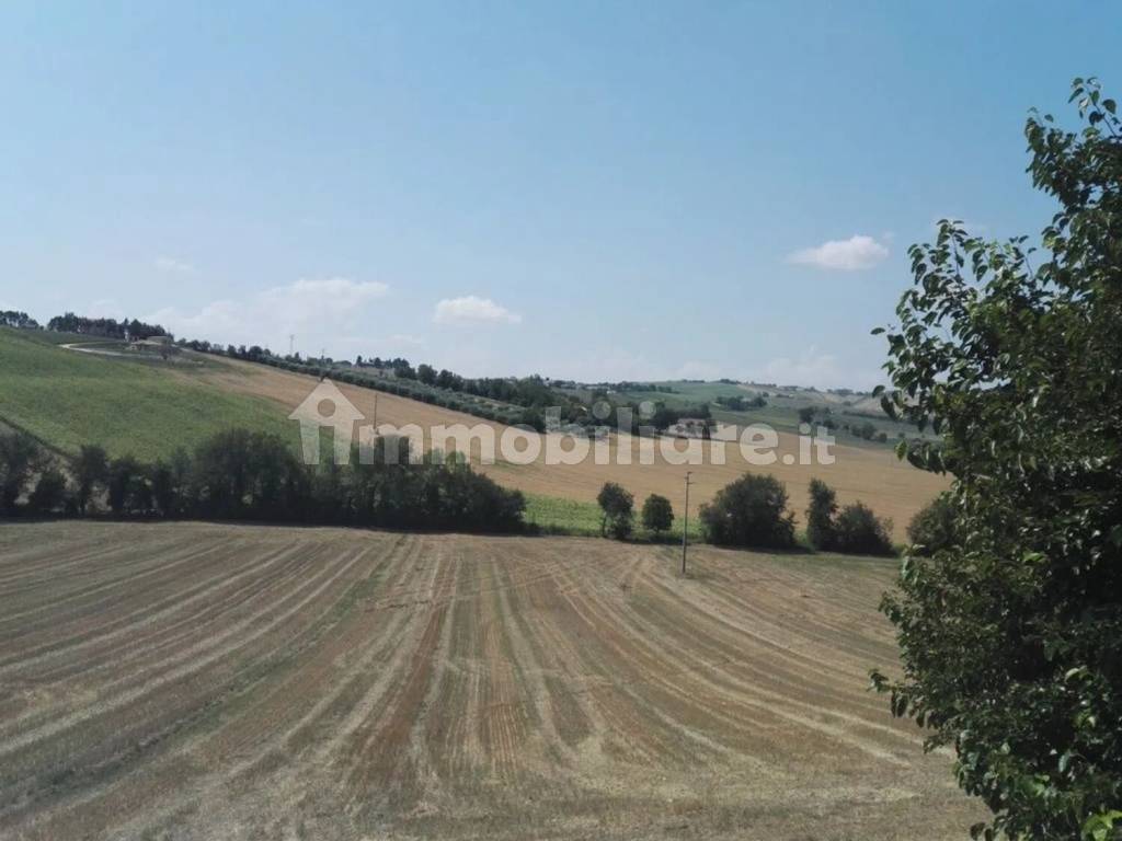 Terreno