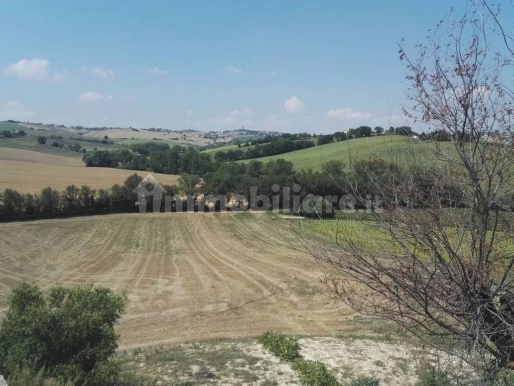 Vista