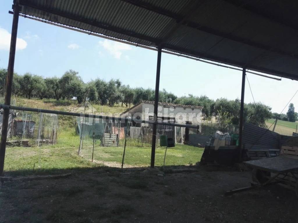 Terreno