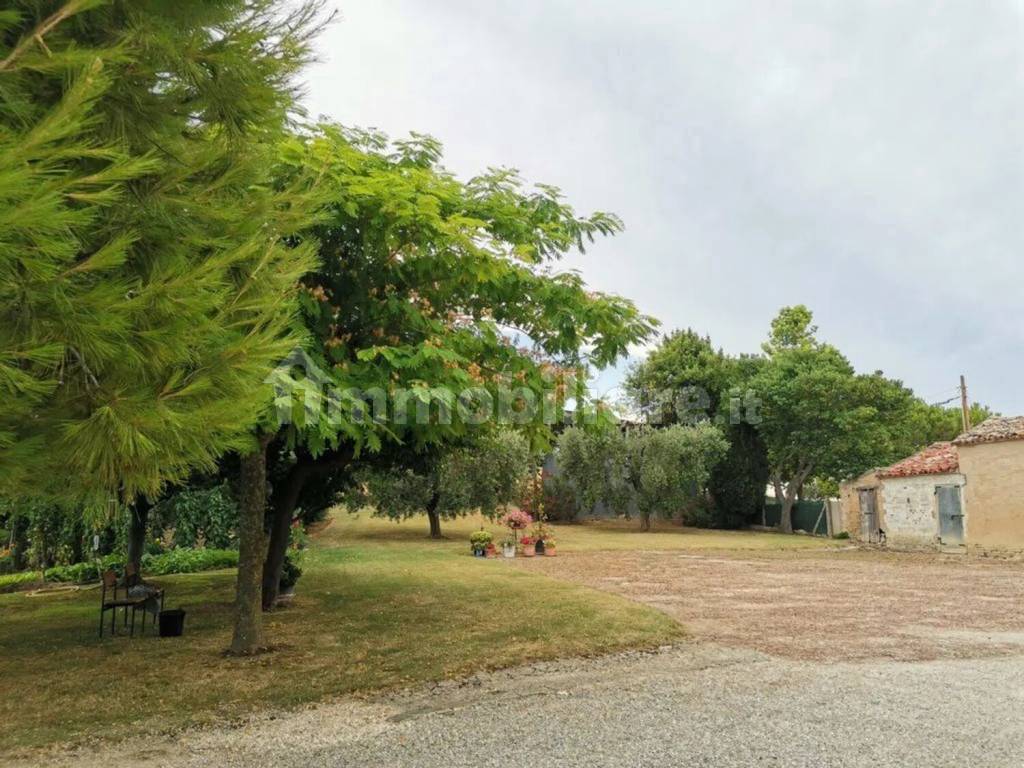Terreno