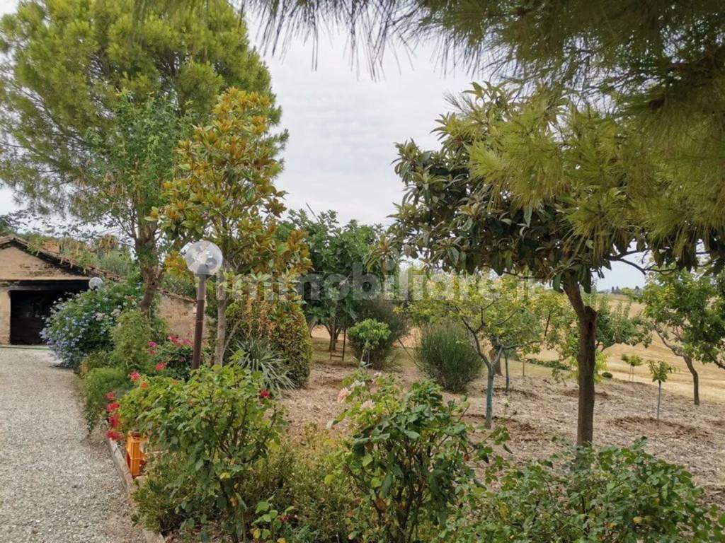 Terreno