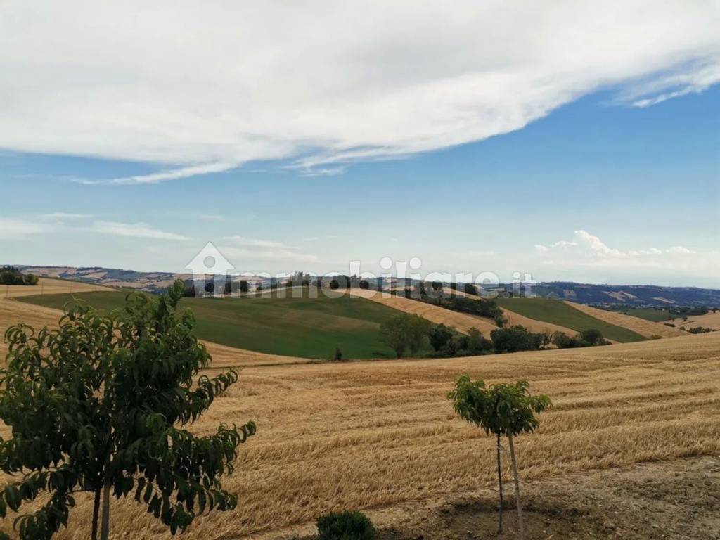 Vista
