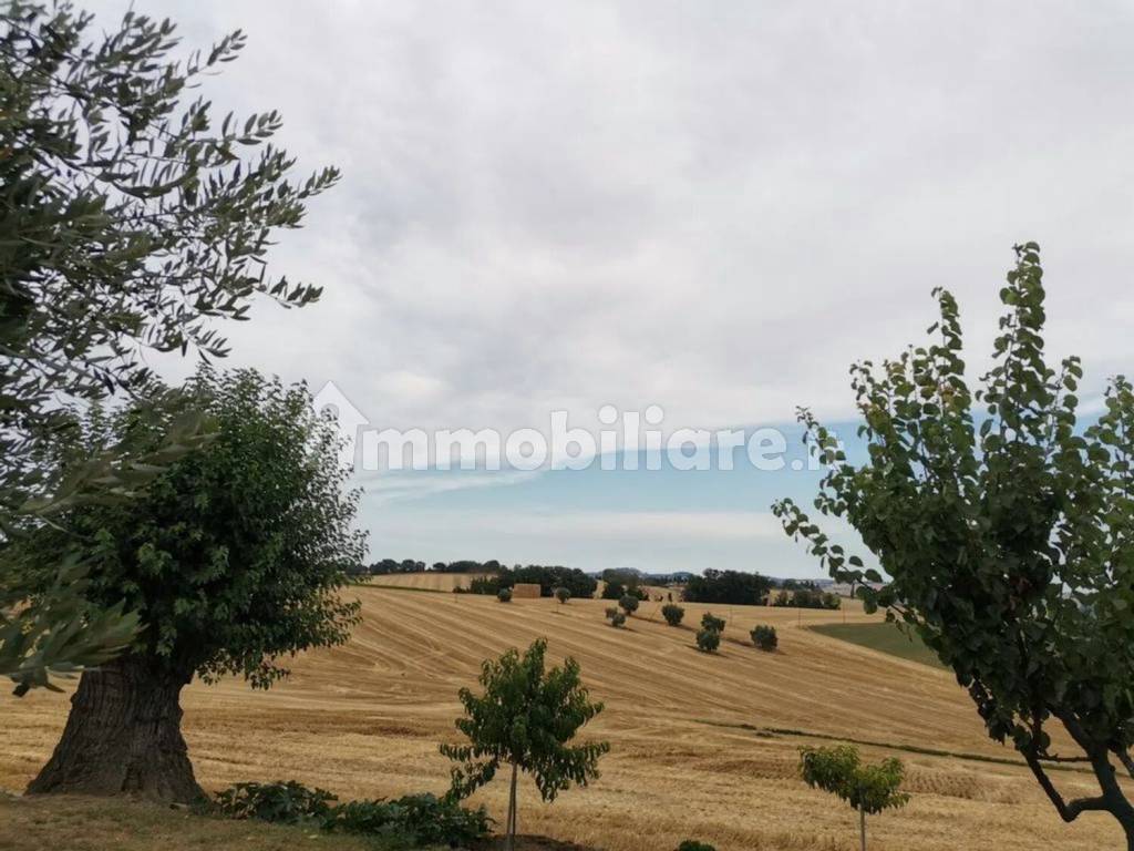 Vista