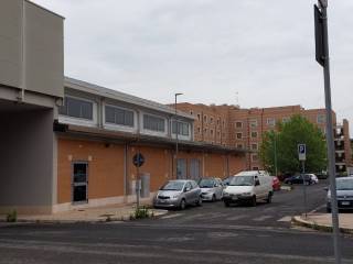 Zona