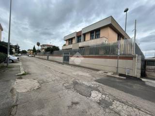 Zona