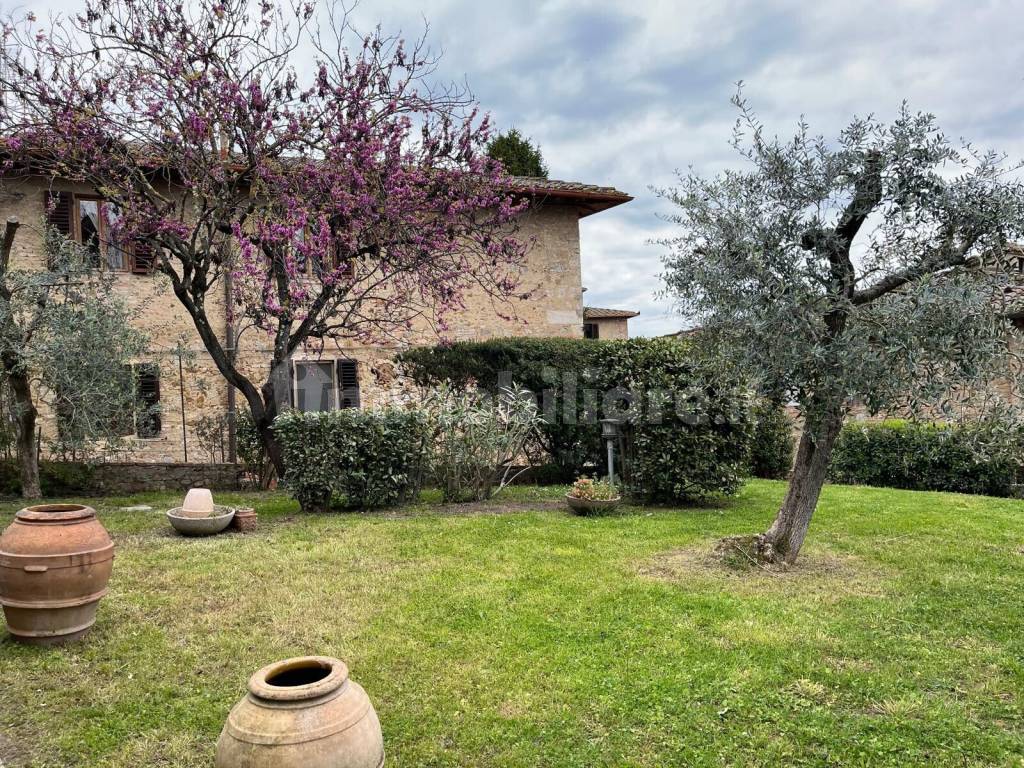 Giardino