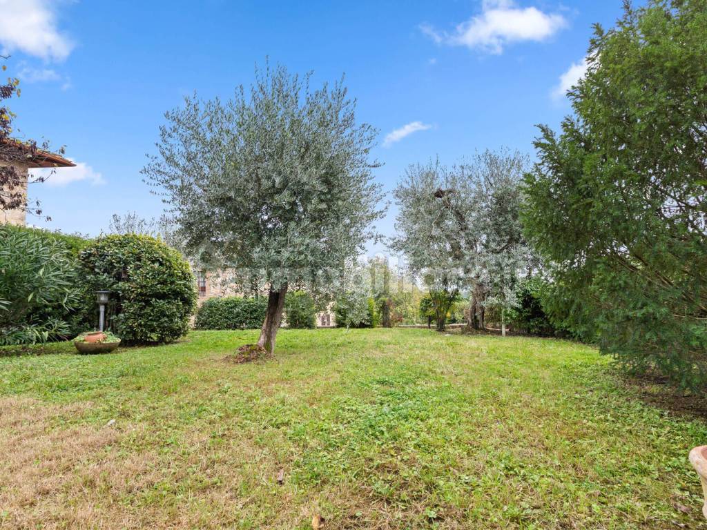 Giardino