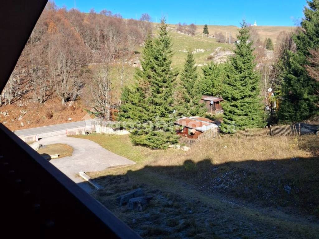 Vista