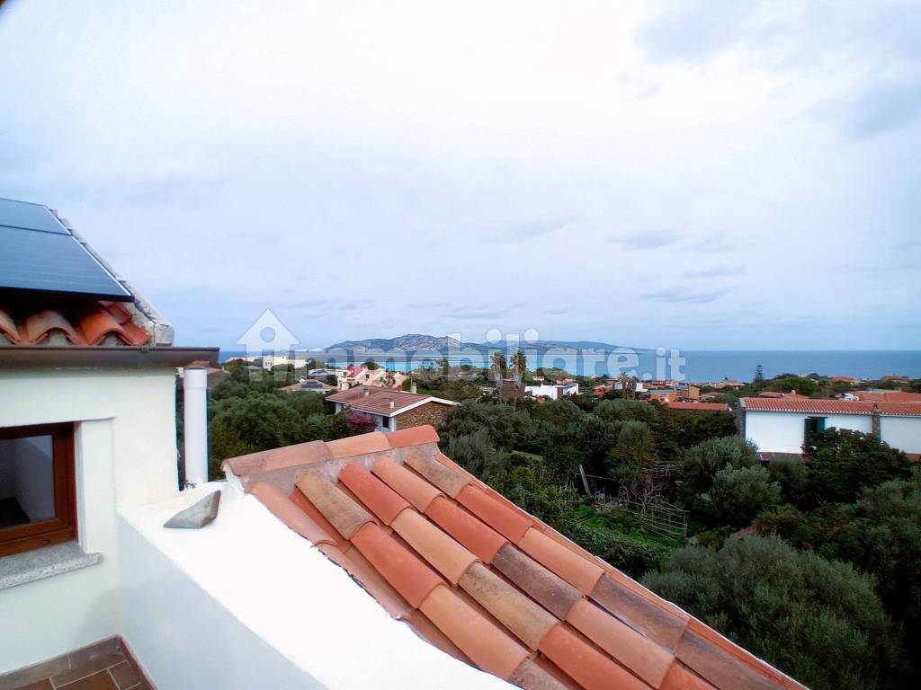 Vista