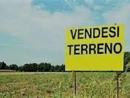 Zona