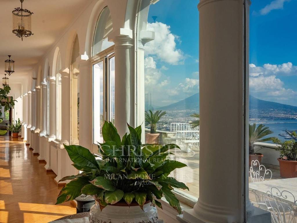 Vista