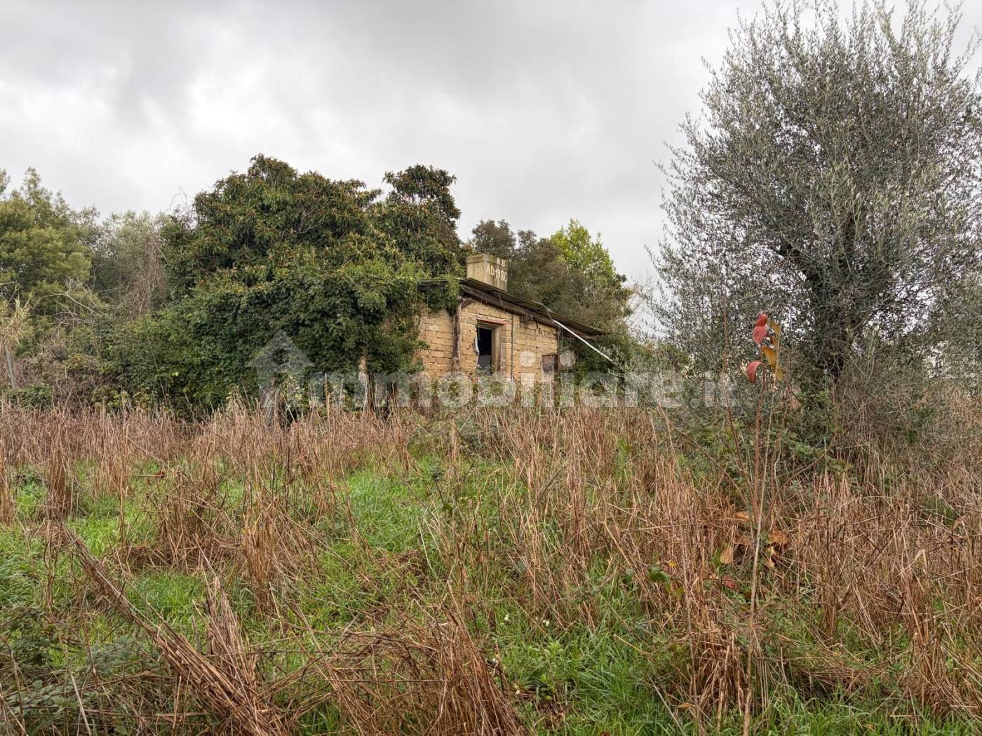 Casa indipendente in vendita a Roma