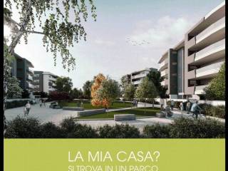 Zona