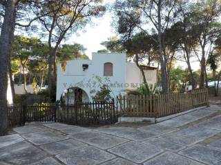 Ingresso