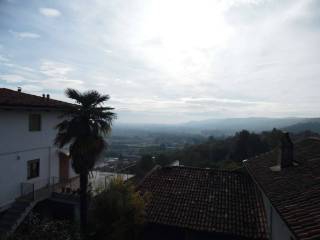 Vista