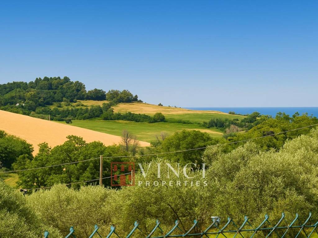 Vista