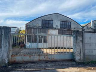 Zona
