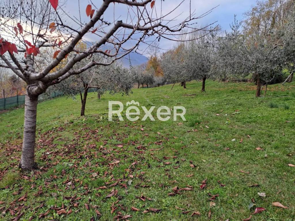 Terreno