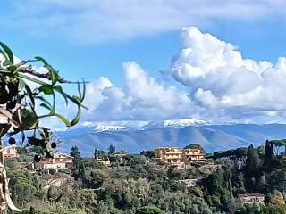 Vista