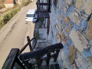 Zona