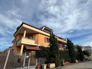 Zona