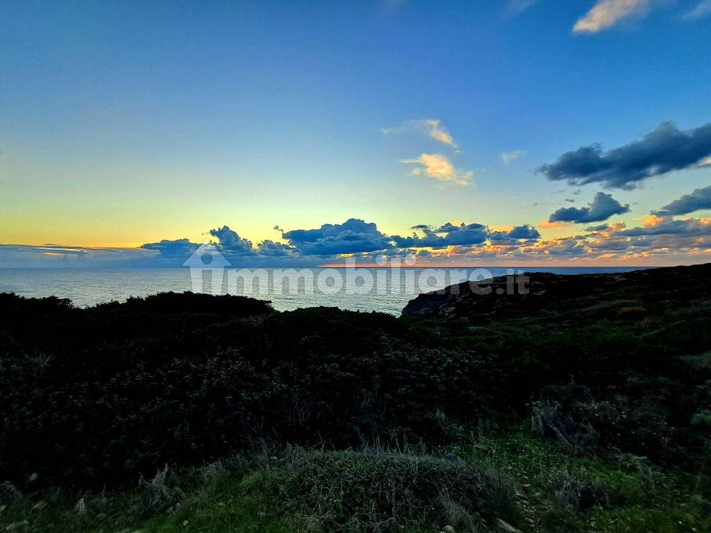Vista