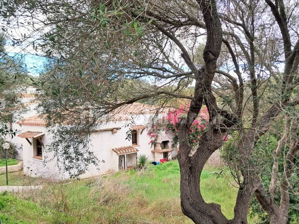 Terreno